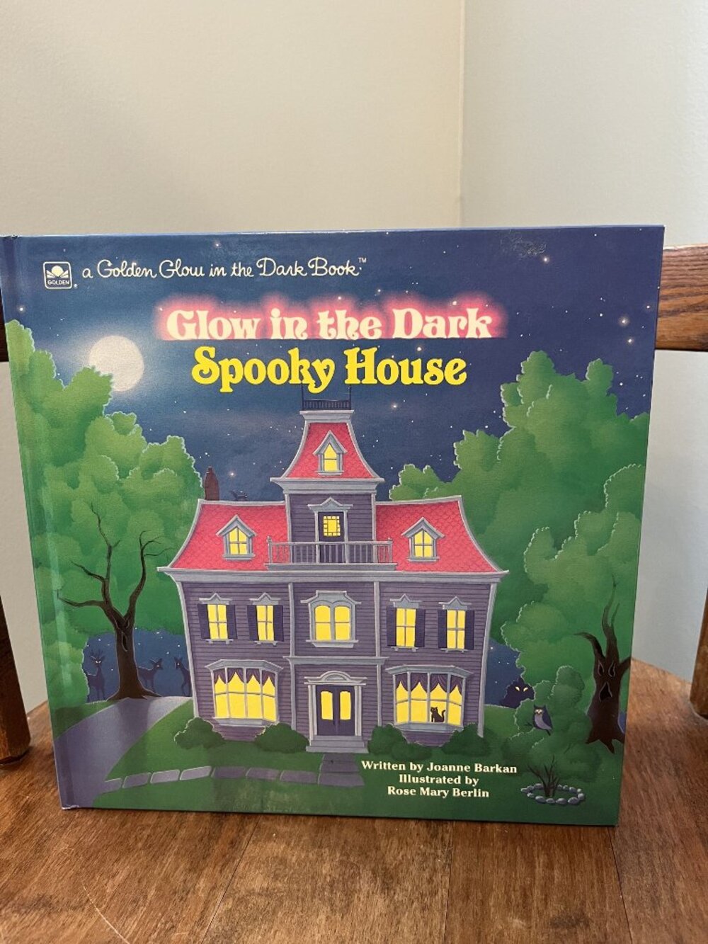 Spooky House GOLDEN GLOW IN THE DARK BOOK 1990 HC Joanne Barkan